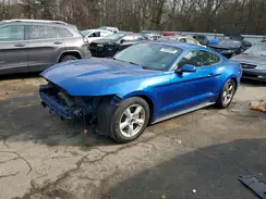 1FA6P8AM4H5345526 2017 FORD MUSTANG