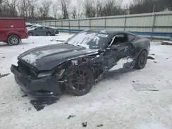 1FA6P8AM5G5208402 2016 FORD MUSTANG