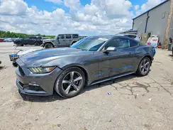 1FA6P8AM5G5219223 2016 FORD MUSTANG