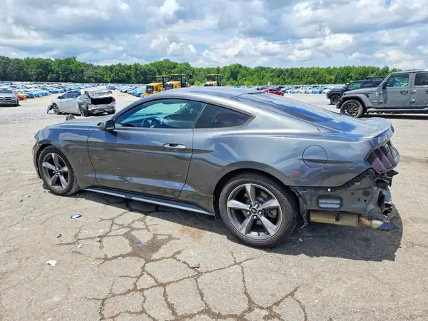 1FA6P8AM5G5219223 2016 FORD MUSTANG - Image 2