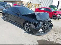 1FA6P8AM5G5241383 2016 FORD MUSTANG