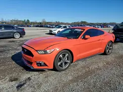1FA6P8AM5G5257079 2016 FORD MUSTANG