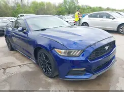 1FA6P8AM5G5283701 2016 FORD MUSTANG