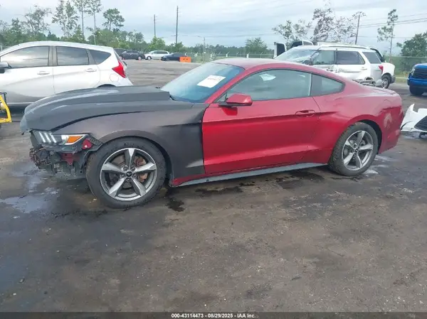 1FA6P8AM5G5305082 2016 FORD MUSTANG - Image 2