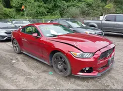 1FA6P8AM5G5308161 2016 FORD MUSTANG