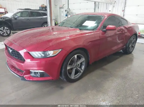 1FA6P8AM5G5318169 2016 FORD MUSTANG - Image 2