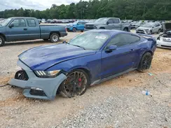 1FA6P8AM5G5321430 2016 FORD MUSTANG