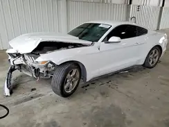 1FA6P8AM5G5333805 2016 FORD MUSTANG