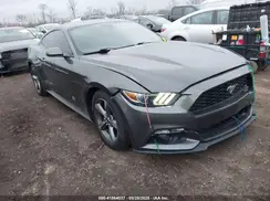 1FA6P8AM5G5337594 2016 FORD MUSTANG