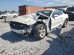 1FA6P8AM5H5203153 2017 FORD MUSTANG