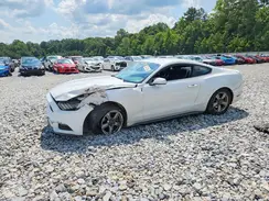1FA6P8AM5H5207896 2017 FORD MUSTANG