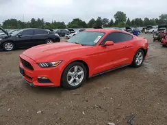 1FA6P8AM5H5209082 2017 FORD MUSTANG