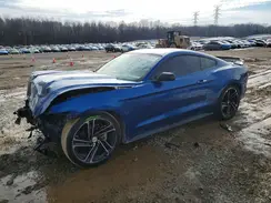 1FA6P8AM5H5226433 2017 FORD MUSTANG