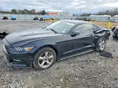 1FA6P8AM5H5236511 2017 FORD MUSTANG