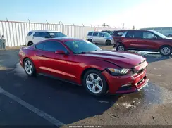 1FA6P8AM5H5239716 2017 FORD MUSTANG