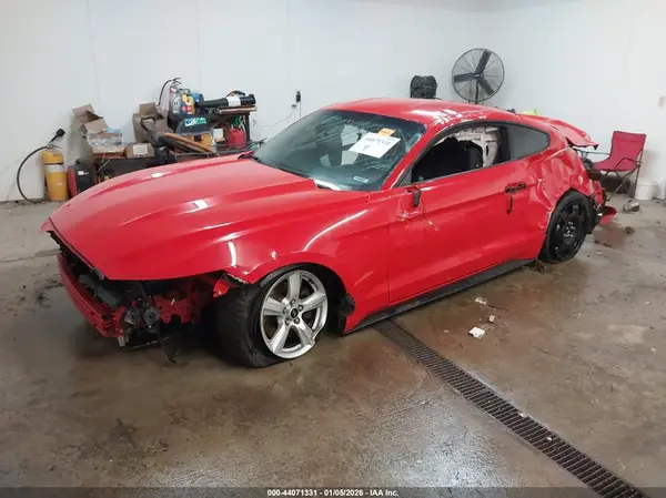 1FA6P8AM5H5244527 2017 FORD MUSTANG - Image 2