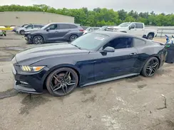 1FA6P8AM5H5257505 2017 FORD MUSTANG