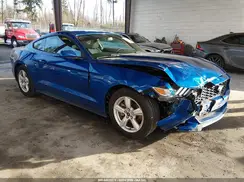 1FA6P8AM5H5257598 2017 FORD MUSTANG