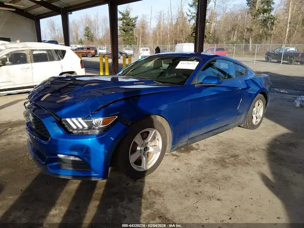 1FA6P8AM5H5257598 2017 FORD MUSTANG - Image 2