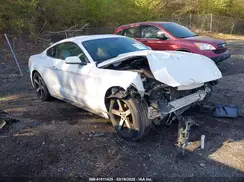 1FA6P8AM5H5263143 2017 FORD MUSTANG
