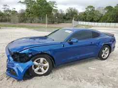 1FA6P8AM5H5264082 2017 FORD MUSTANG