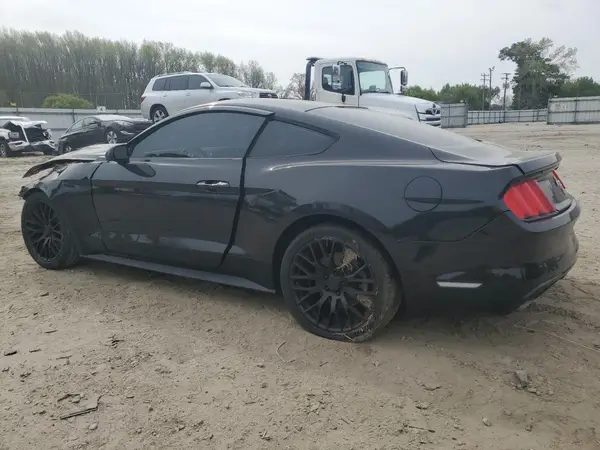 1FA6P8AM5H5271176 2017 FORD MUSTANG - Image 2