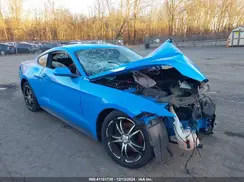 1FA6P8AM5H5272540 2017 FORD MUSTANG