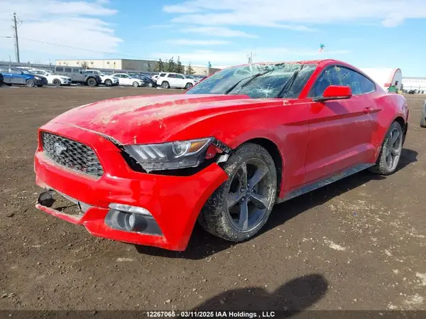 1FA6P8AM5H5284929 2017 FORD MUSTANG - Image 2