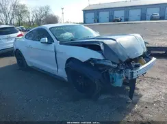 1FA6P8AM5H5286969 2017 FORD MUSTANG