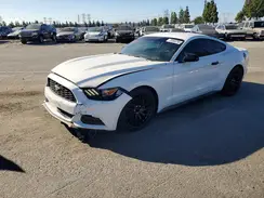 1FA6P8AM5H5287099 2017 FORD MUSTANG