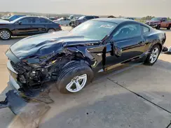 1FA6P8AM5H5290679 2017 FORD MUSTANG