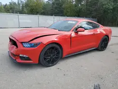 1FA6P8AM5H5294408 2017 FORD MUSTANG