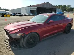 1FA6P8AM5H5301244 2017 FORD MUSTANG