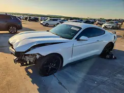 1FA6P8AM5H5302202 2017 FORD MUSTANG
