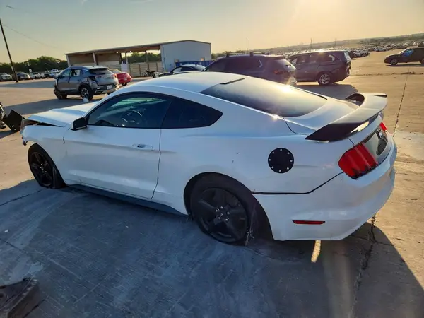 1FA6P8AM5H5302202 2017 FORD MUSTANG - Image 2