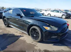 1FA6P8AM5H5302572 2017 FORD MUSTANG