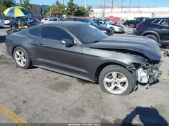 1FA6P8AM5H5317007 2017 FORD MUSTANG