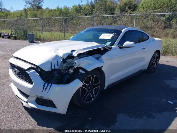 1FA6P8AM5H5319548 2017 FORD MUSTANG - Image 2