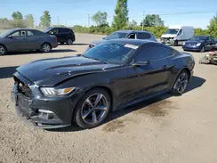 1FA6P8AM5H5321591 2017 FORD MUSTANG