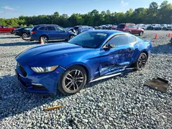 1FA6P8AM5H5322952 2017 FORD MUSTANG