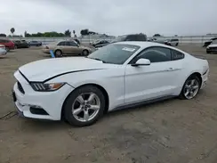 1FA6P8AM5H5340013 2017 FORD MUSTANG