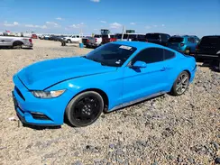 1FA6P8AM5H5344319 2017 FORD MUSTANG