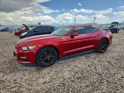 1FA6P8AM5H5353537 2017 FORD MUSTANG