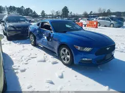 1FA6P8AM5H5356969 2017 FORD MUSTANG