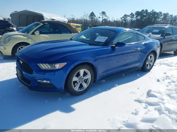 1FA6P8AM5H5356969 2017 FORD MUSTANG - Image 2