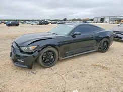 1FA6P8AM6G5256331 2016 FORD MUSTANG