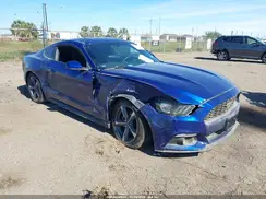 1FA6P8AM6G5267202 2016 FORD MUSTANG