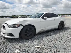 1FA6P8AM6G5292407 2016 FORD MUSTANG