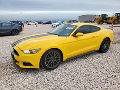 1FA6P8AM6G5333201 2016 FORD MUSTANG