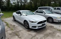 1FA6P8AM6G5336289 2016 FORD MUSTANG